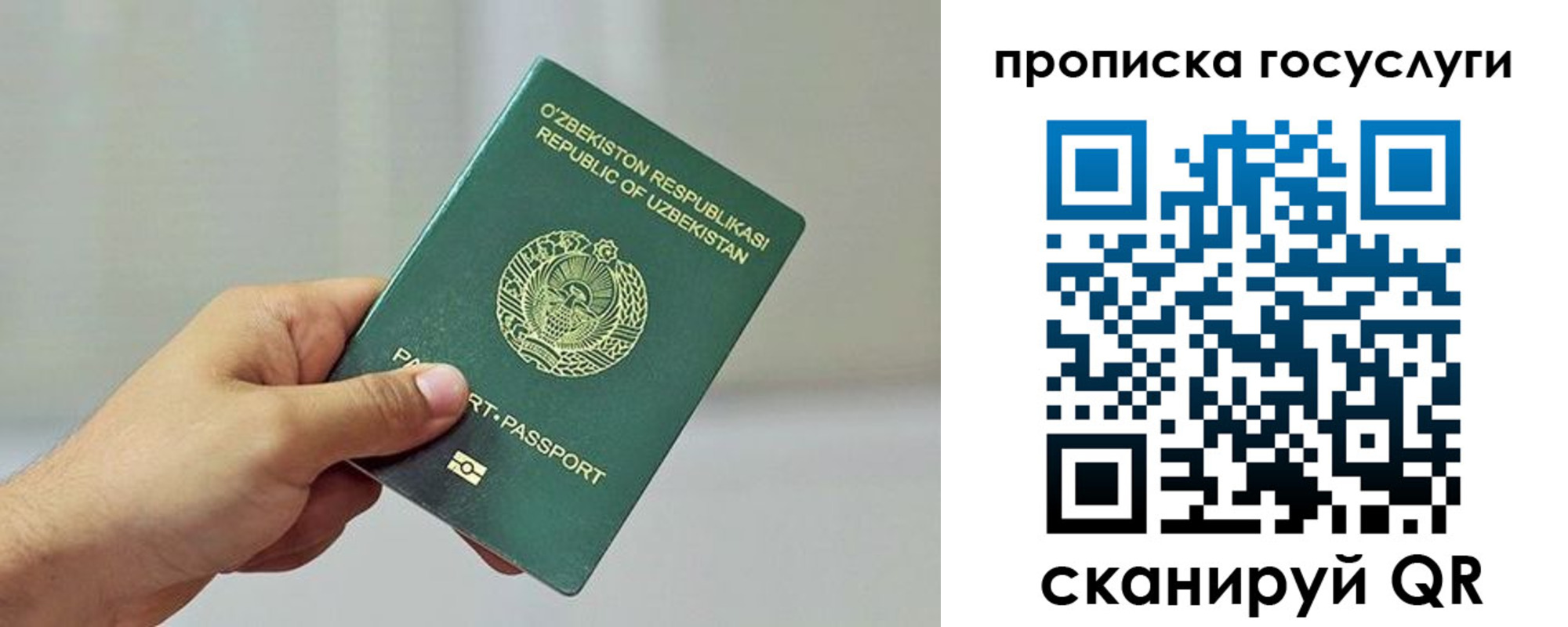 временная регистрация адрес в Амурской области